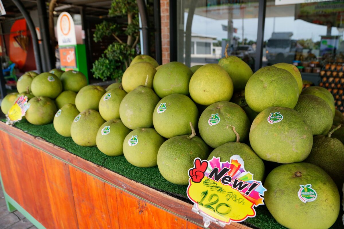 ชุมนุมสหกรณ์การเกษตรแห่งประเทศไทย จำกัด (สำนักงานใหญ่)