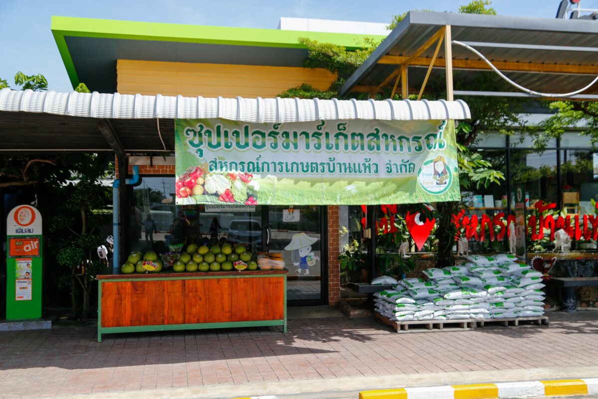 ชุมนุมสหกรณ์การเกษตรแห่งประเทศไทย จำกัด (สำนักงานใหญ่)