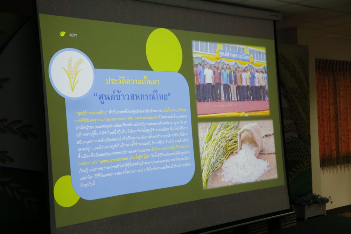 ชุมนุมสหกรณ์การเกษตรแห่งประเทศไทย จำกัด (สำนักงานใหญ่)