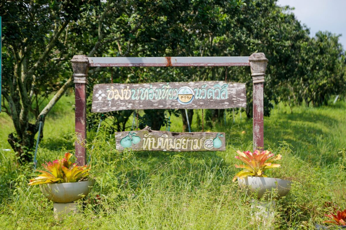 ชุมนุมสหกรณ์การเกษตรแห่งประเทศไทย จำกัด (สำนักงานใหญ่)