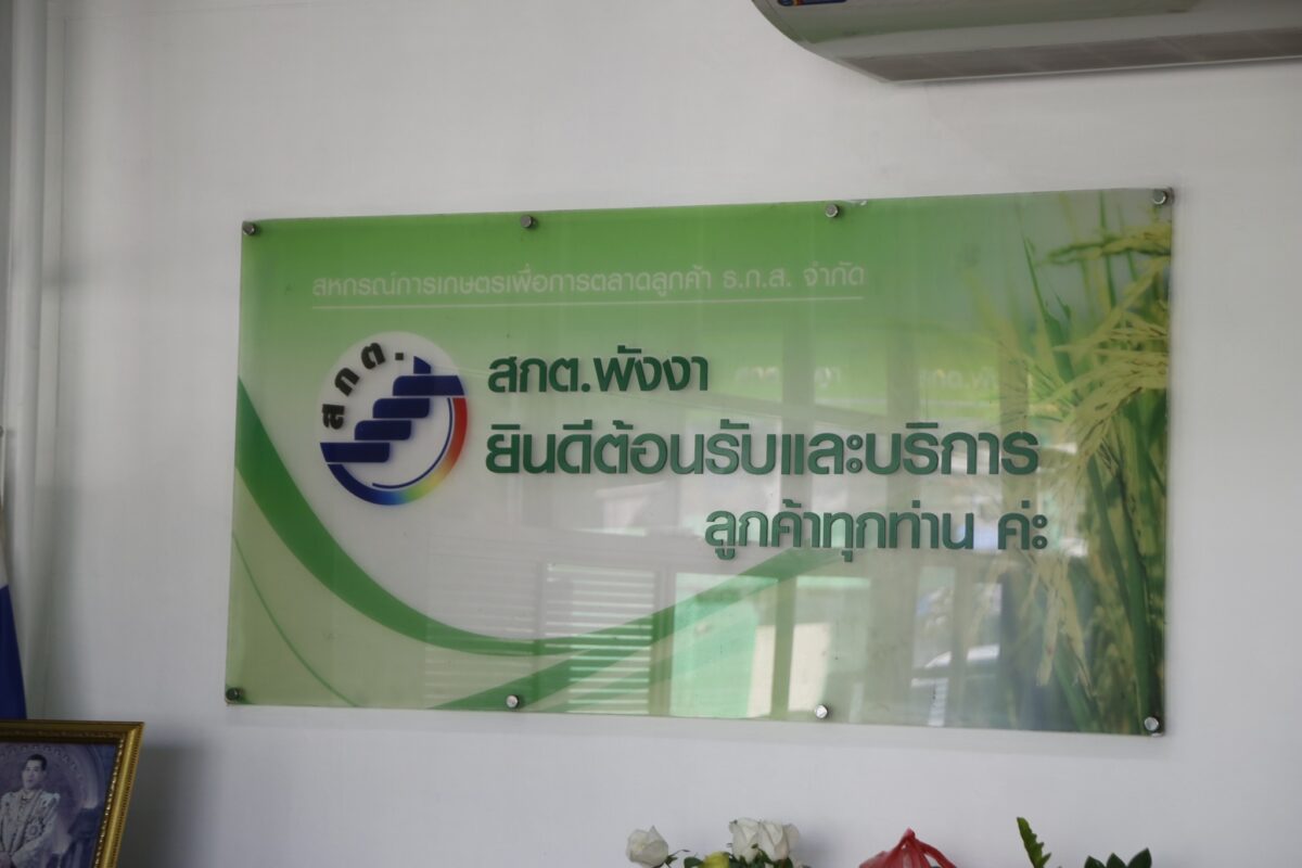 ชุมนุมสหกรณ์การเกษตรแห่งประเทศไทย จำกัด (สำนักงานใหญ่)