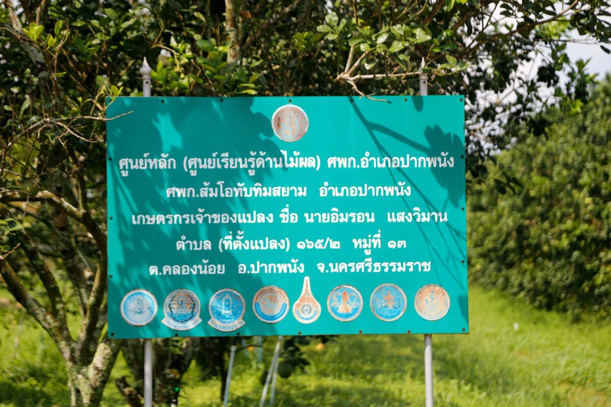 ชุมนุมสหกรณ์การเกษตรแห่งประเทศไทย จำกัด (สำนักงานใหญ่)
