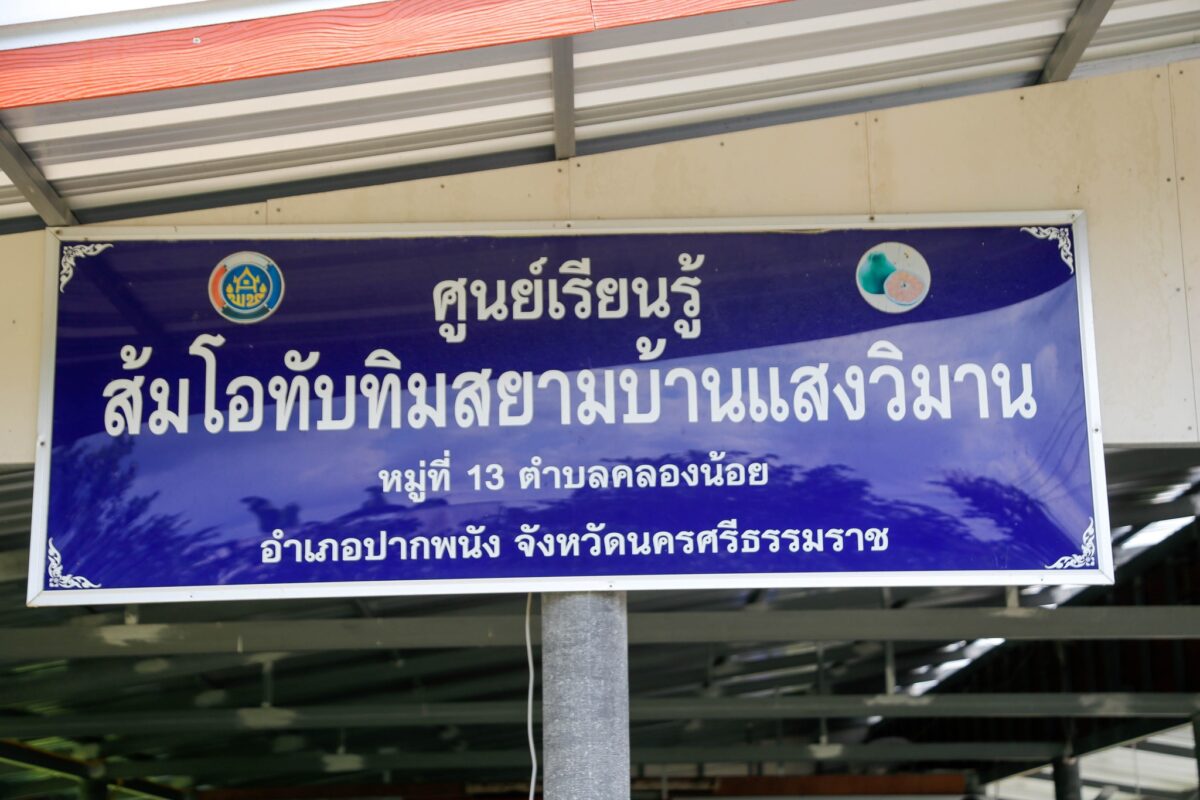 ชุมนุมสหกรณ์การเกษตรแห่งประเทศไทย จำกัด (สำนักงานใหญ่)