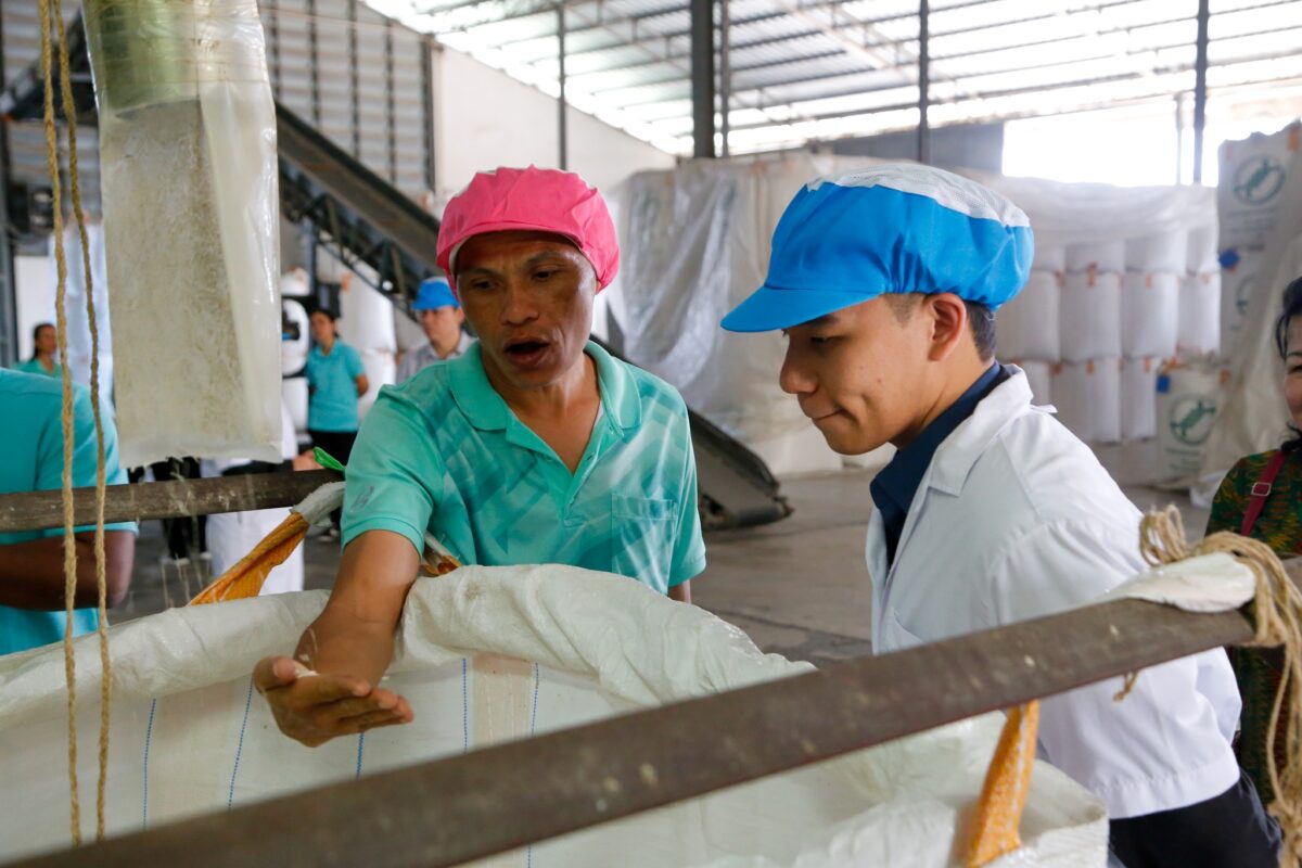 ชุมนุมสหกรณ์การเกษตรแห่งประเทศไทย จำกัด (สำนักงานใหญ่)