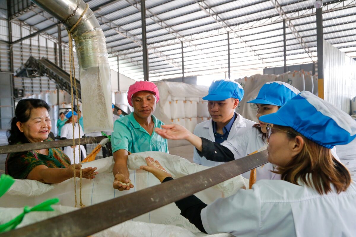 ชุมนุมสหกรณ์การเกษตรแห่งประเทศไทย จำกัด (สำนักงานใหญ่)