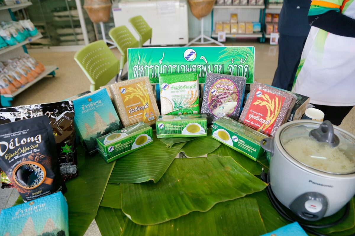 ชุมนุมสหกรณ์การเกษตรแห่งประเทศไทย จำกัด (สำนักงานใหญ่)