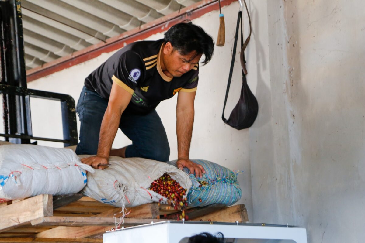 ชุมนุมสหกรณ์การเกษตรแห่งประเทศไทย จำกัด (สำนักงานใหญ่)