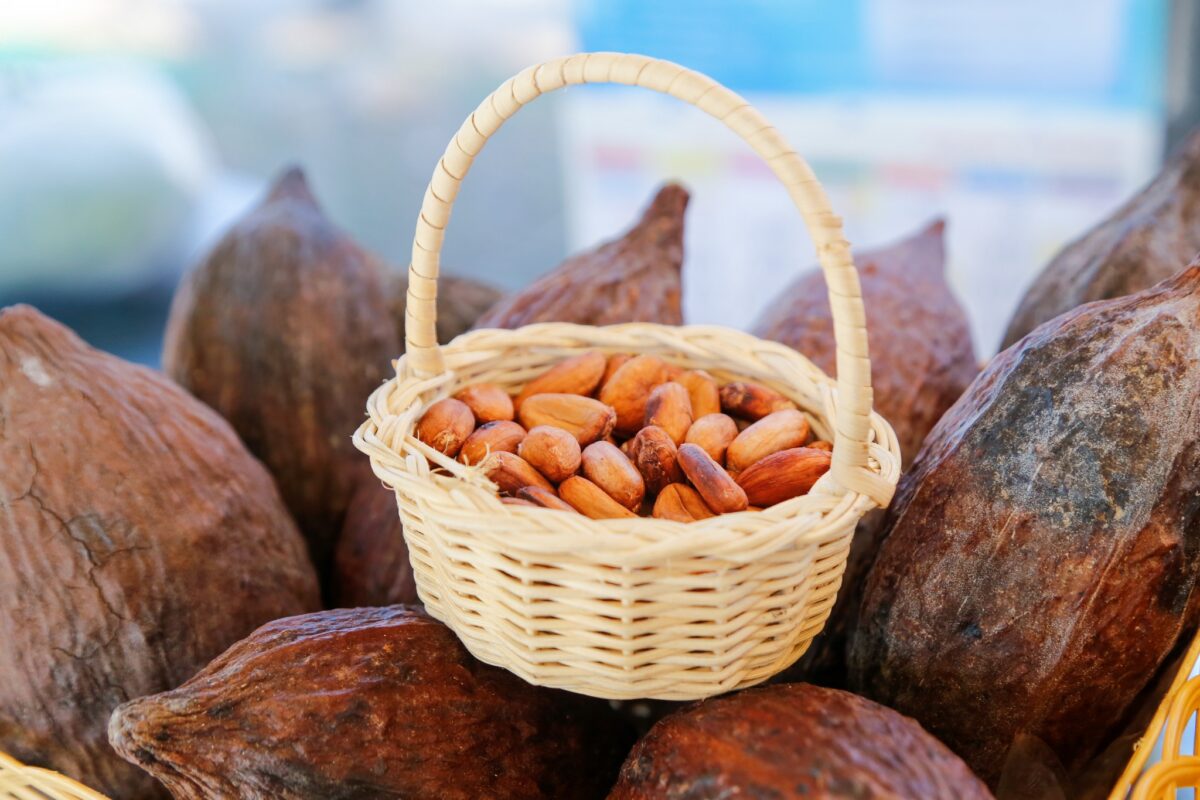 ชุมนุมสหกรณ์การเกษตรแห่งประเทศไทย จำกัด (สำนักงานใหญ่)