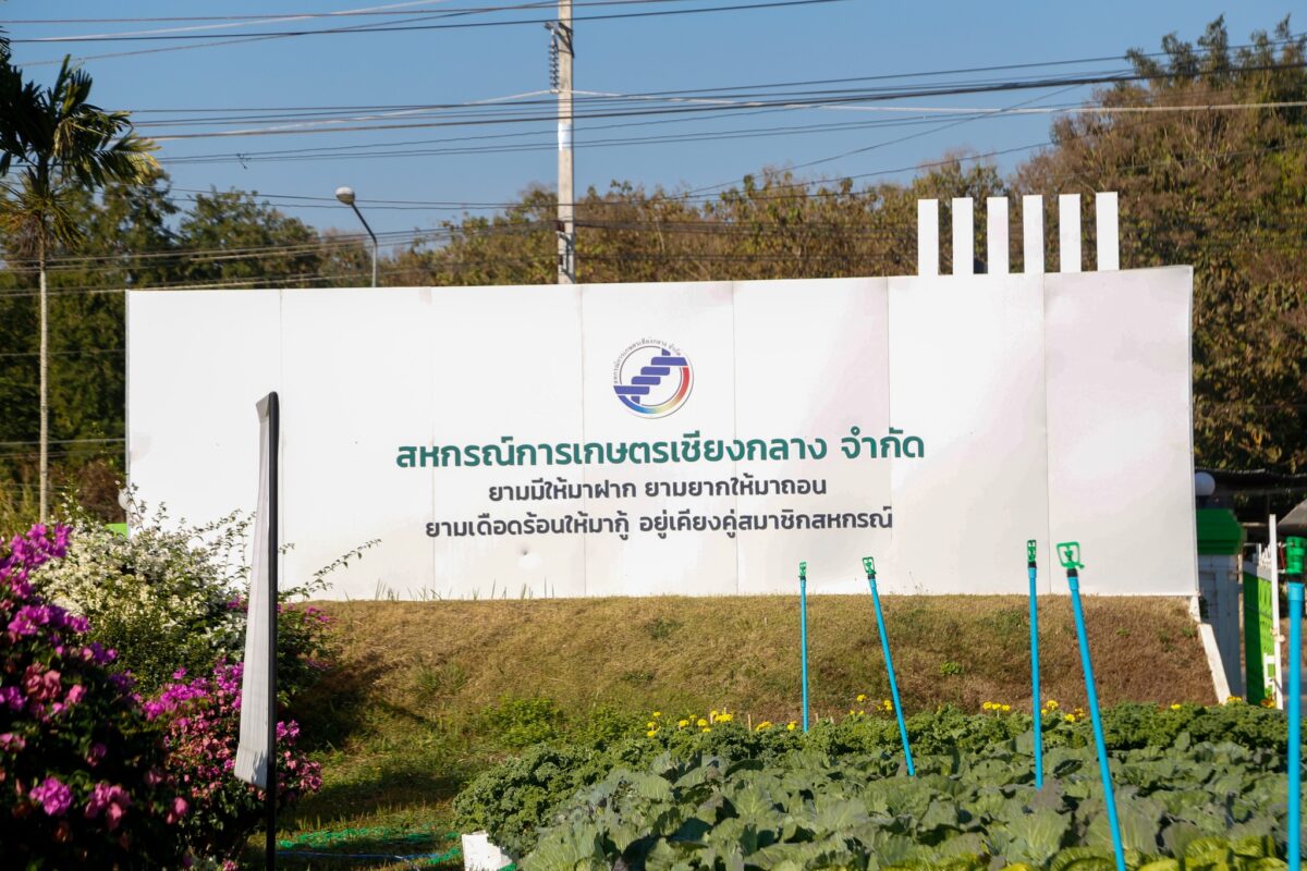 ชุมนุมสหกรณ์การเกษตรแห่งประเทศไทย จำกัด (สำนักงานใหญ่)