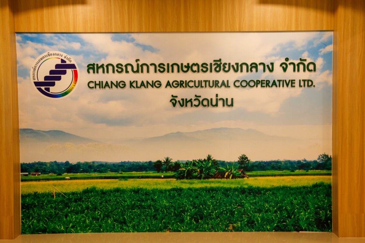 ชุมนุมสหกรณ์การเกษตรแห่งประเทศไทย จำกัด (สำนักงานใหญ่)