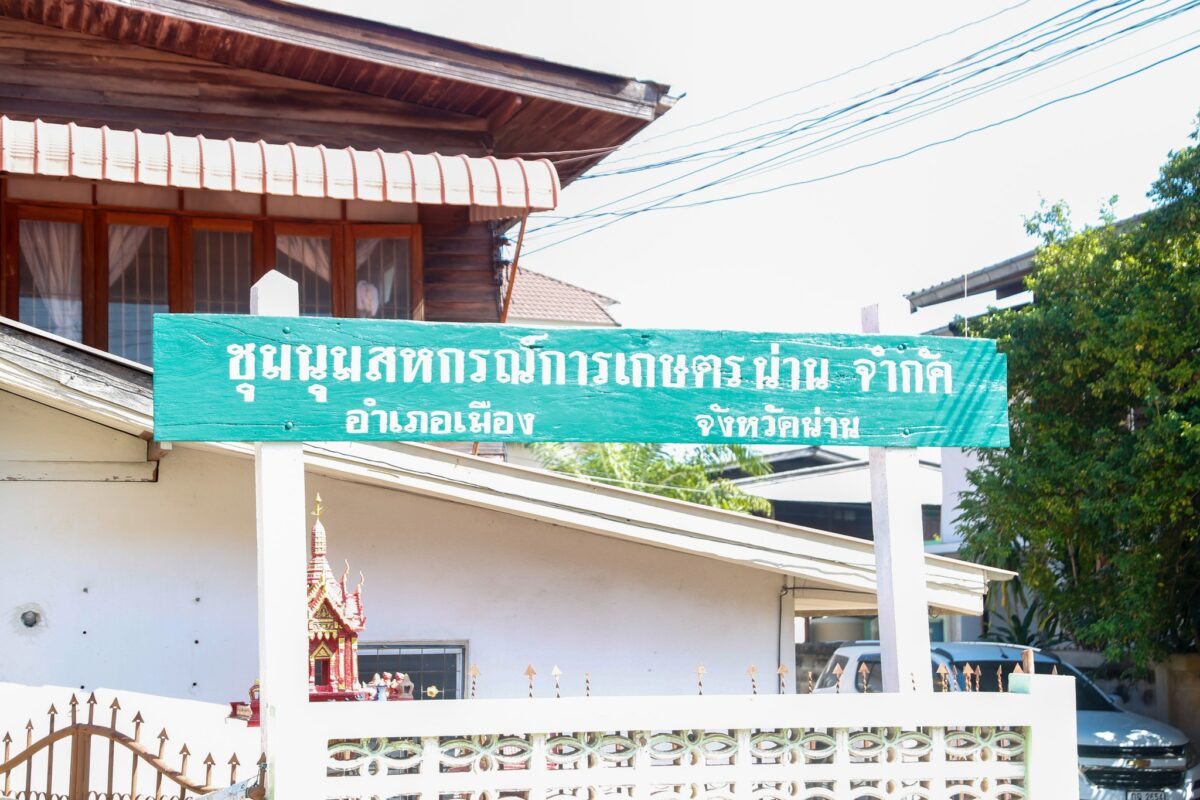 ชุมนุมสหกรณ์การเกษตรแห่งประเทศไทย จำกัด (สำนักงานใหญ่)