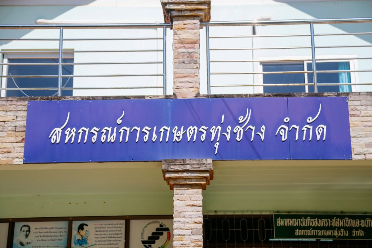 ชุมนุมสหกรณ์การเกษตรแห่งประเทศไทย จำกัด (สำนักงานใหญ่)
